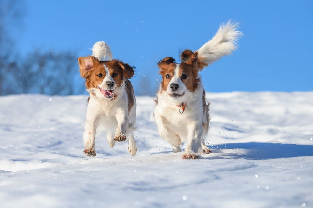 Photograph by Мария Новоселецкая