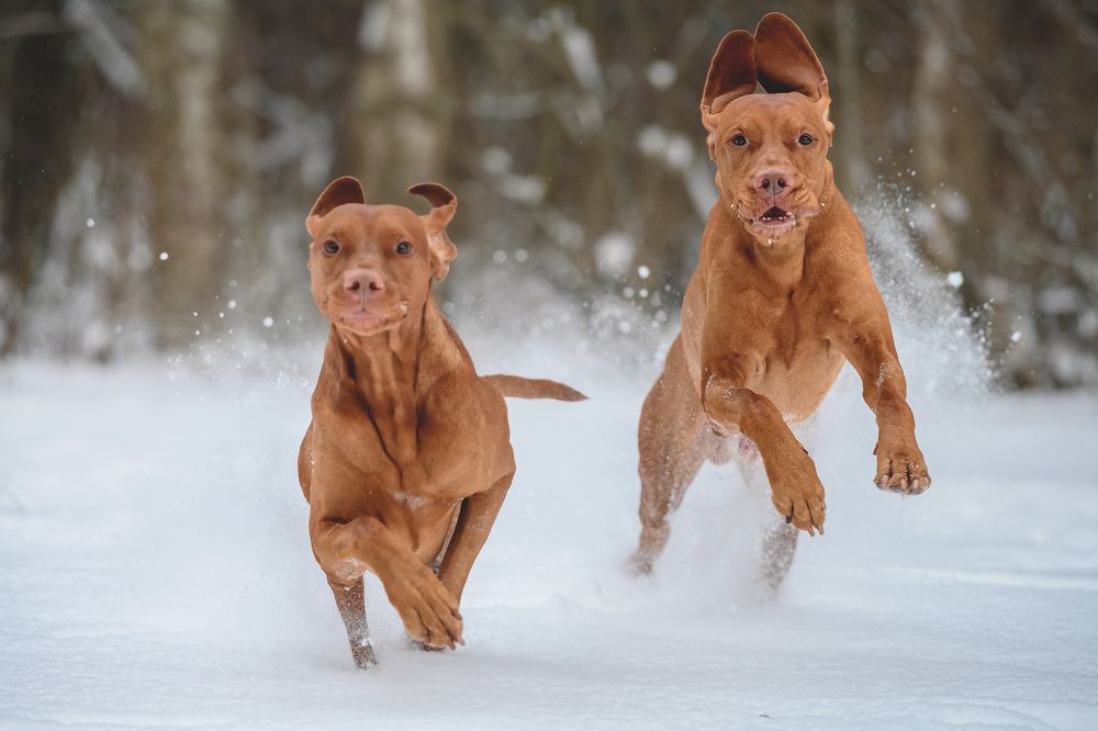 Photograph by Мария Новоселецкая