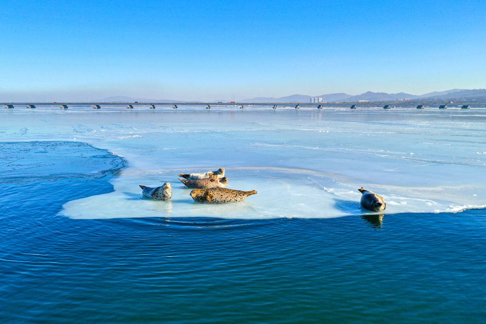 На отдыхе/ On a rest