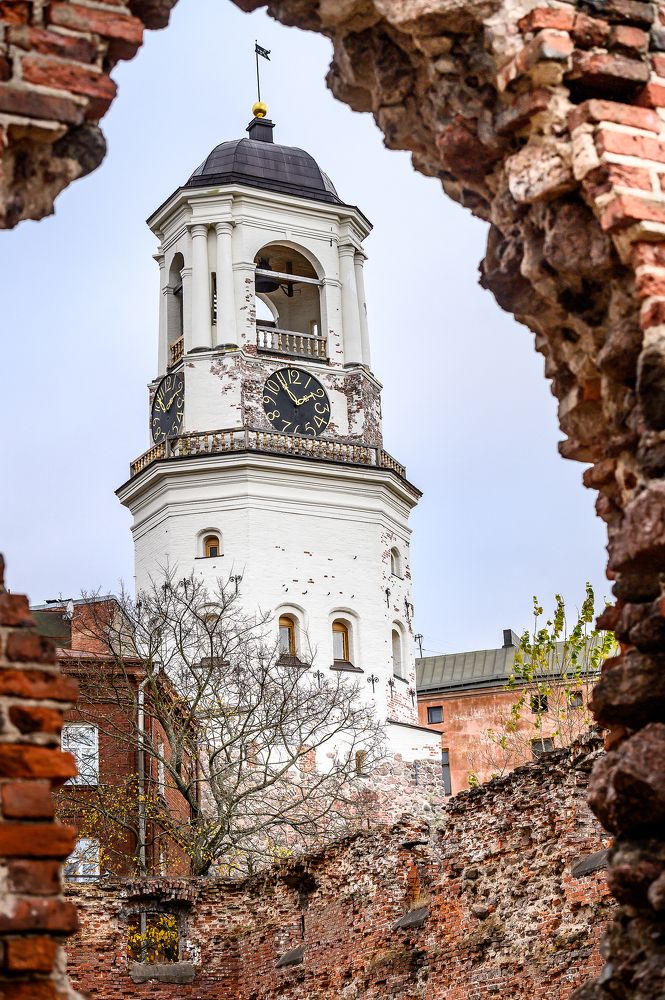 Photograph by Мария Новоселецкая