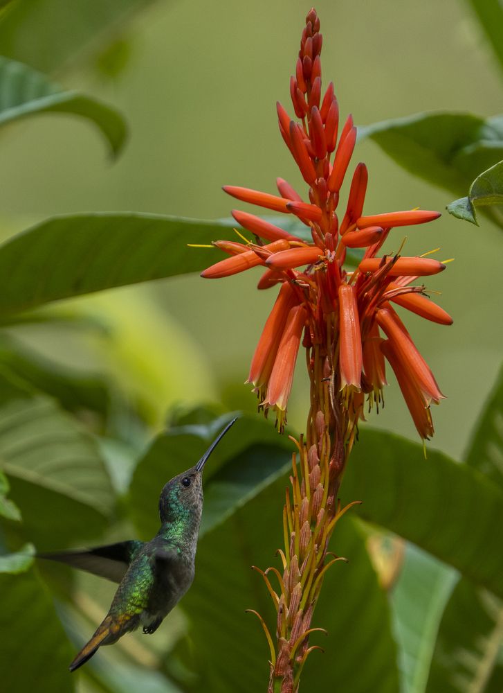 Photograph by Alberto Camardiel