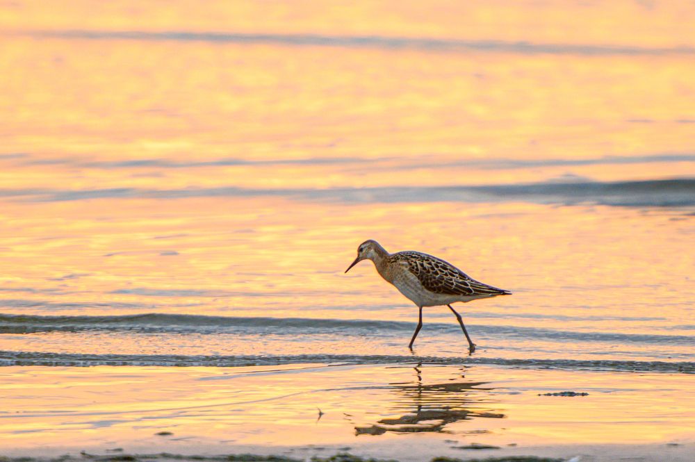 Photograph by Мария Новоселецкая