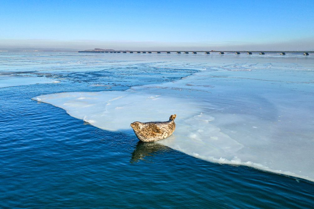 Одинокий турист / Lonely tourist