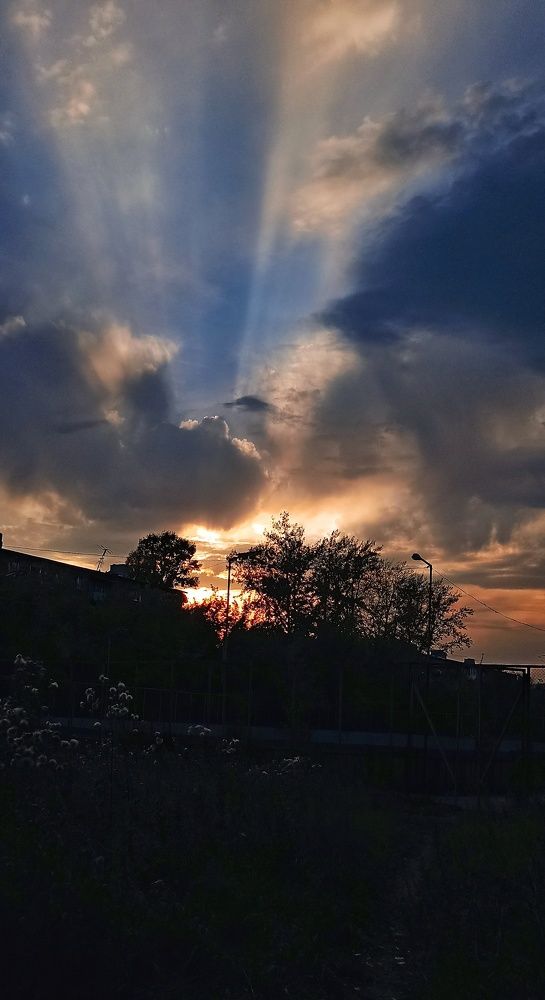 Photo #8940650
