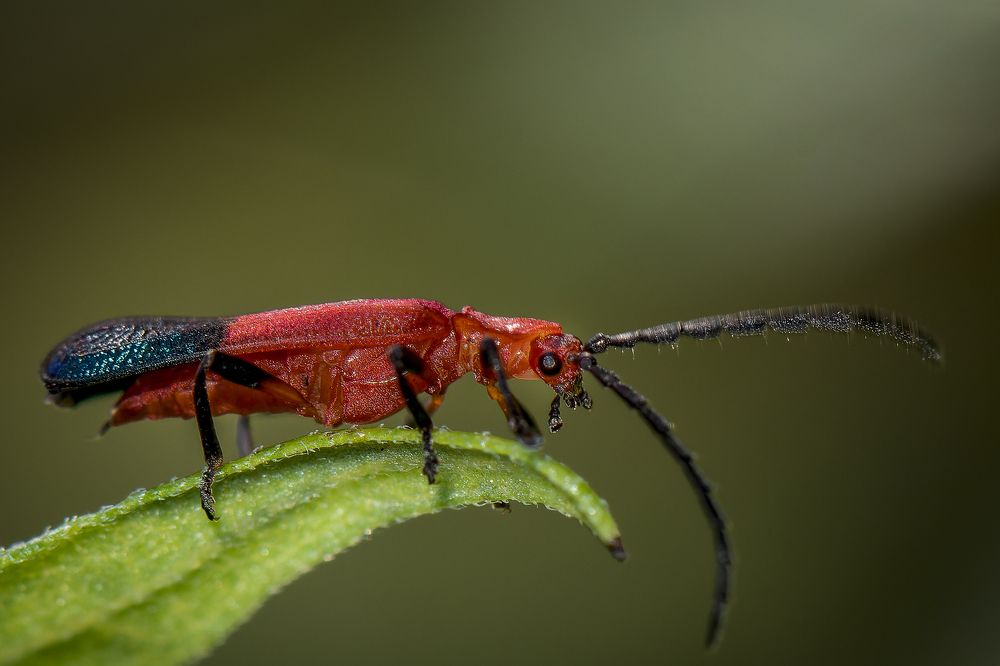 Photograph by Alfonso Lòpez