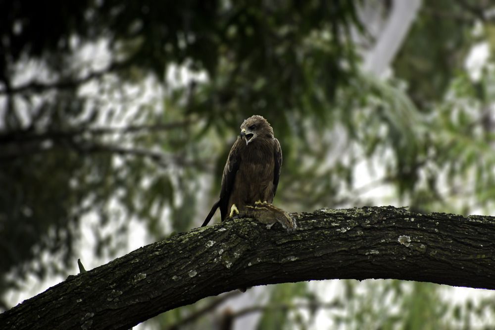 Photograph by Abdulla Atyeb