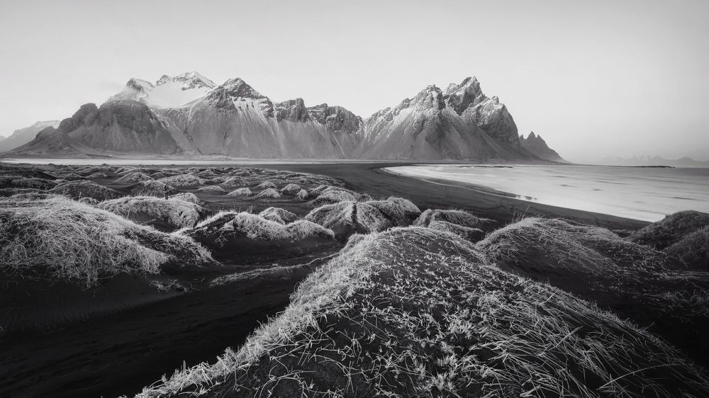 Photo #8940666
