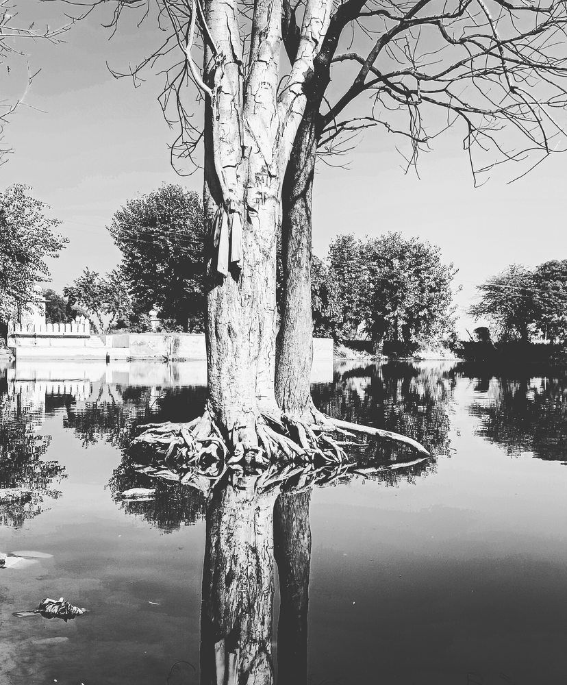 Photograph by Rohit Kumar