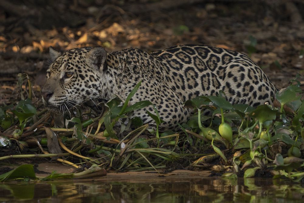 Photograph by Alberto Camardiel