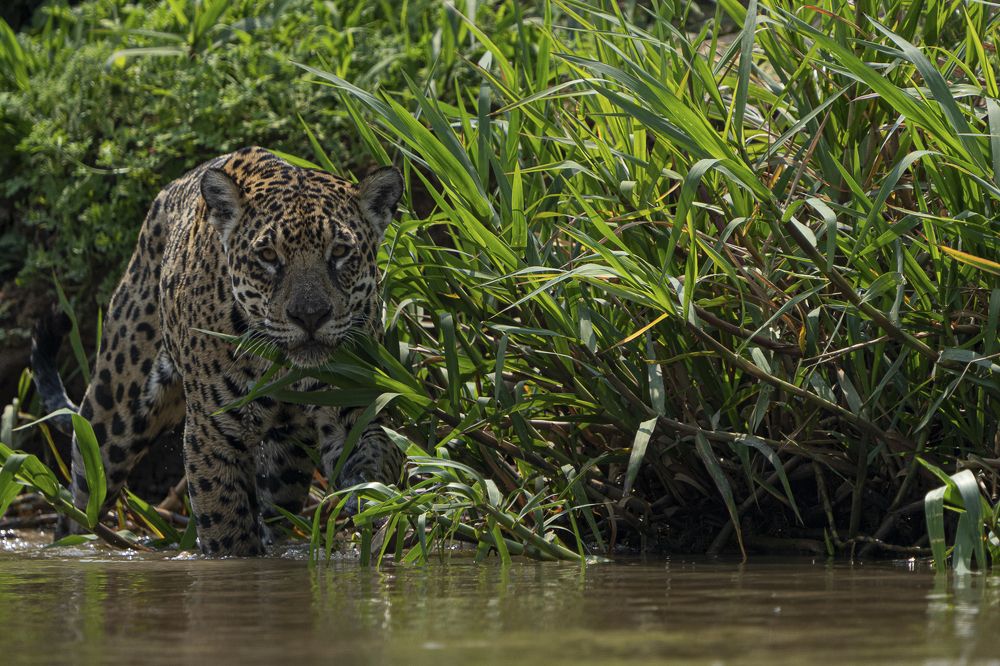 Photograph by Alberto Camardiel