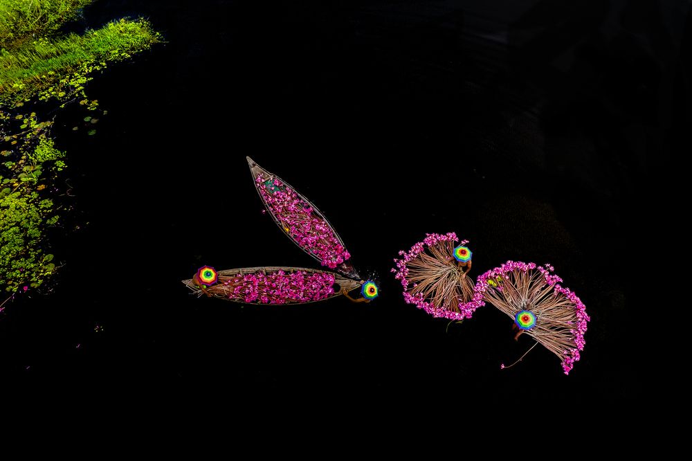 Photograph by sanchayan chowdhury