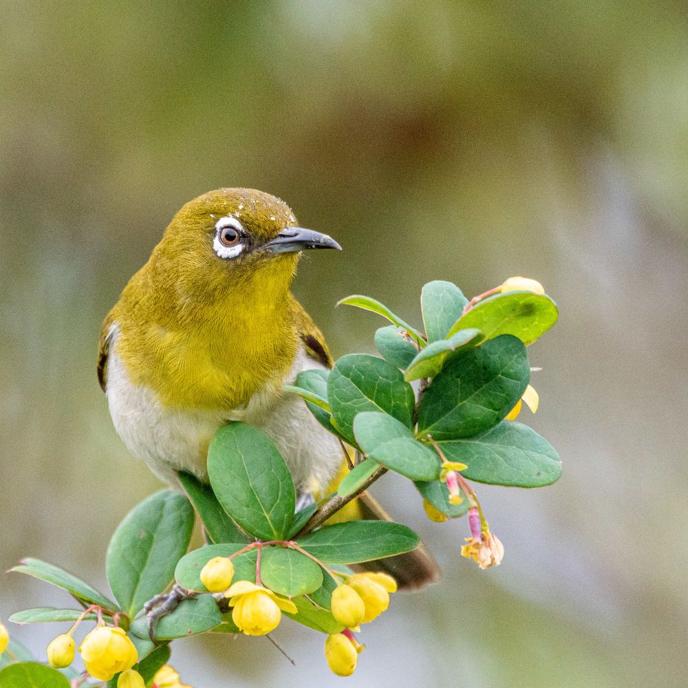 Photograph by Gayashan Kulathunga
