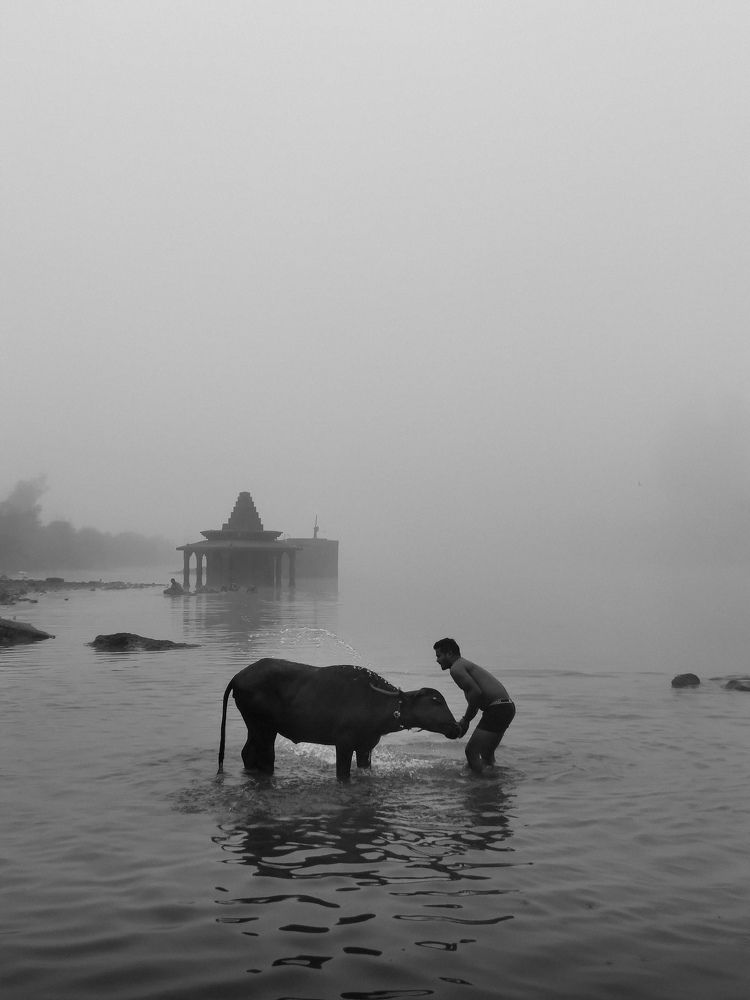 Photo #8940773