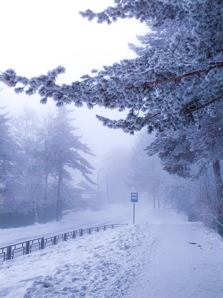 Photograph by Алексей Егоров