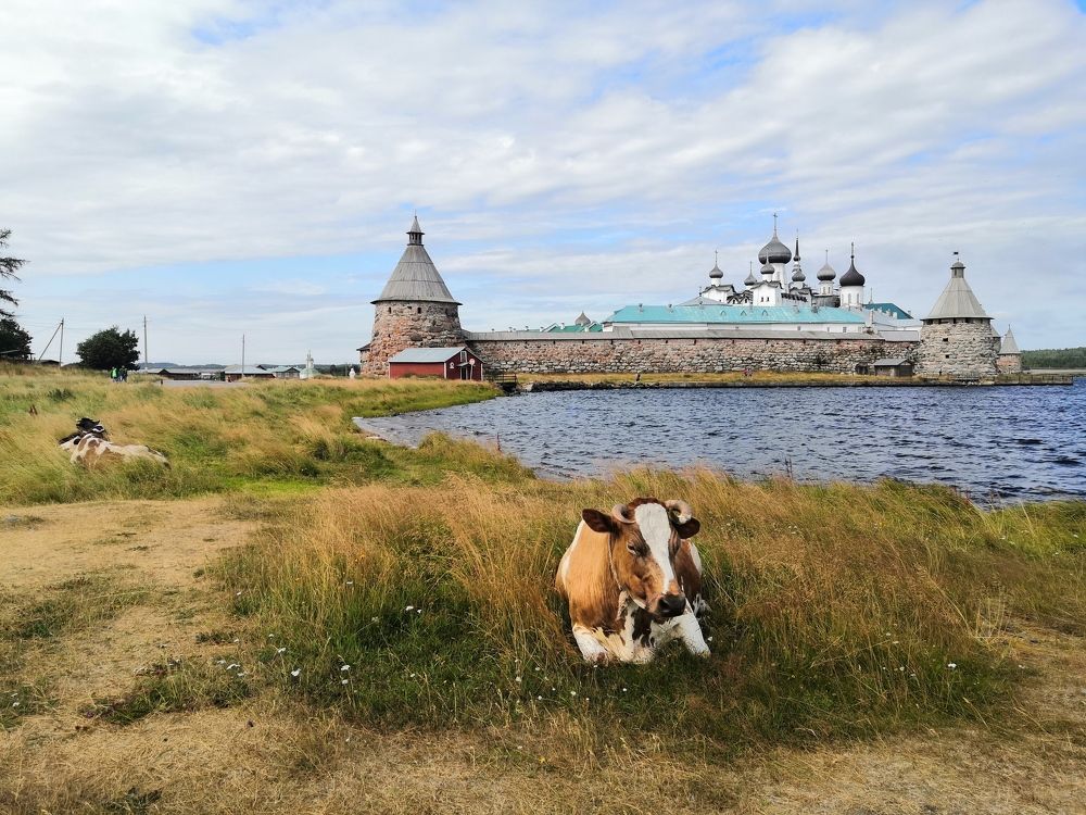 Photo #8940814