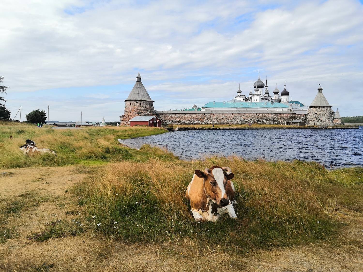 Photo #8940814