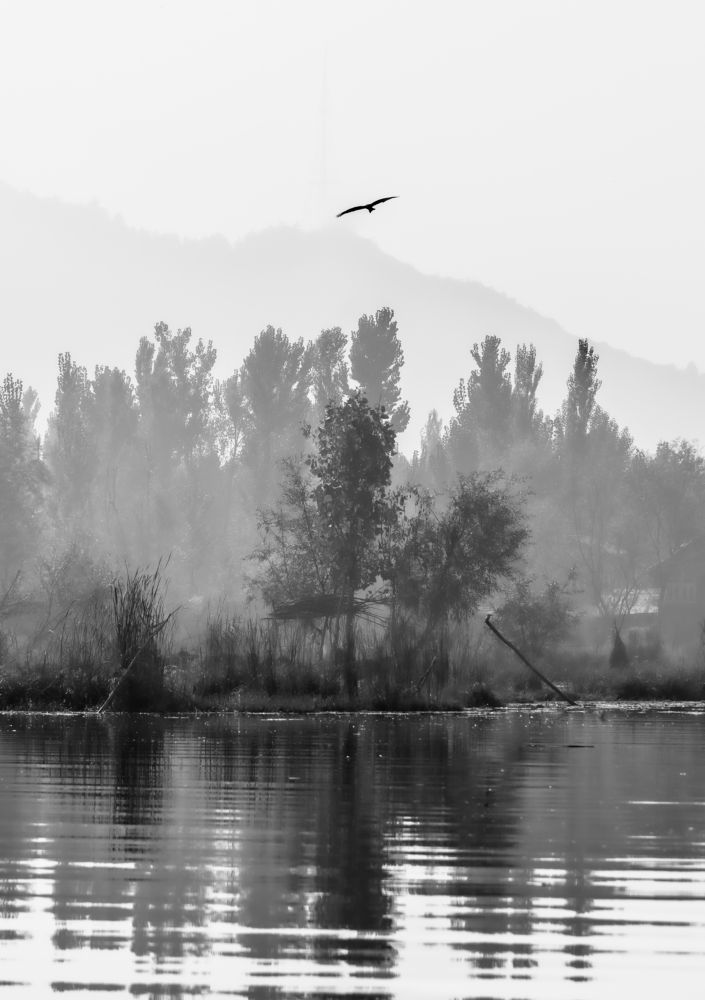 Photograph by Bondhu Dey