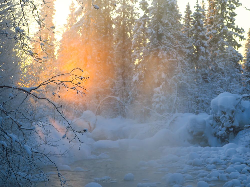 Photograph by Константин Пешков