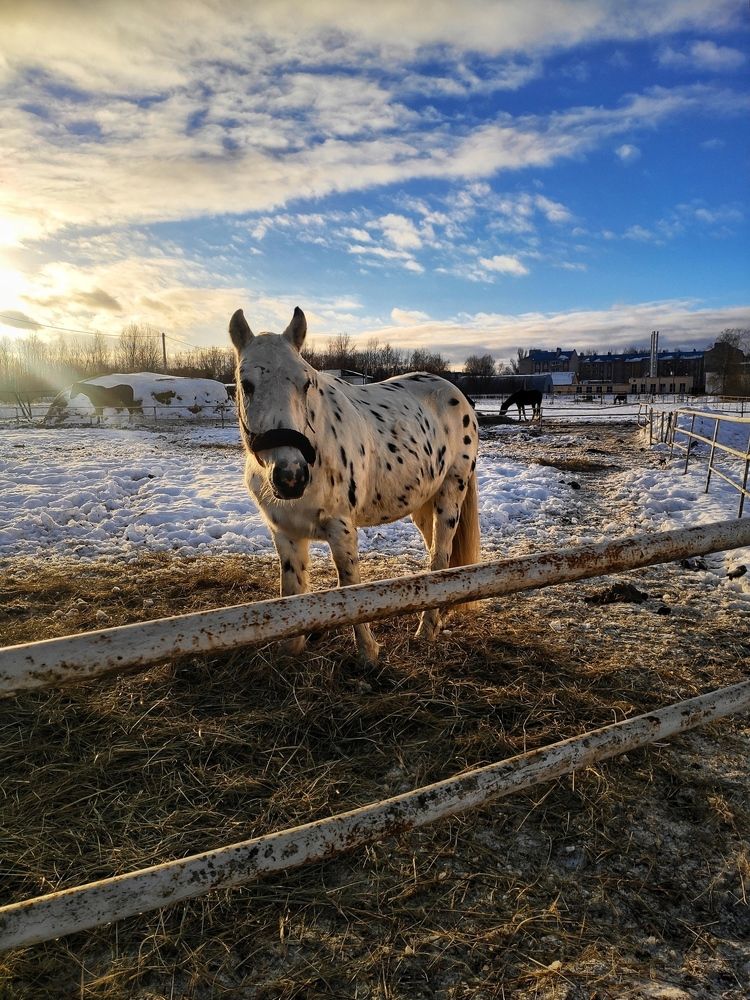 Photograph by Надежда Сидорова