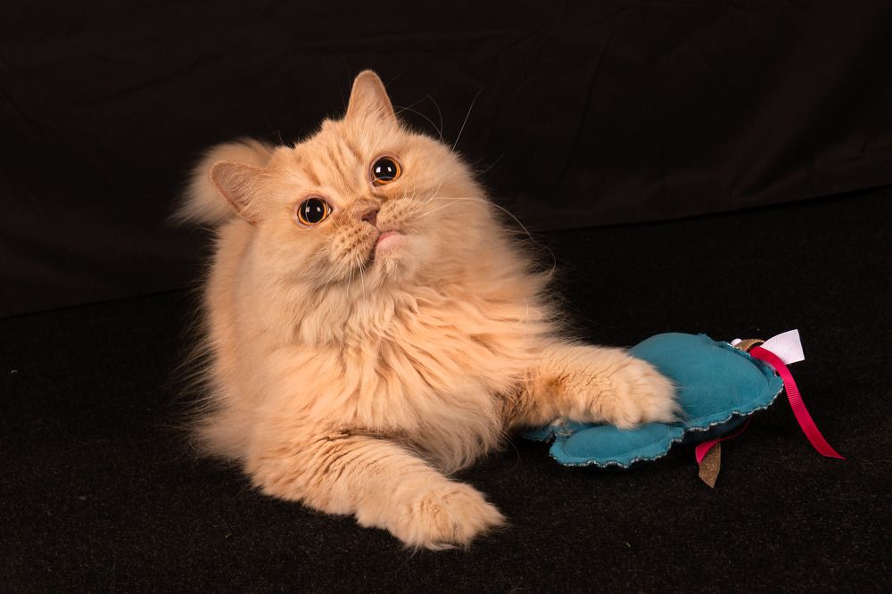 Photograph by Марина Виноградова