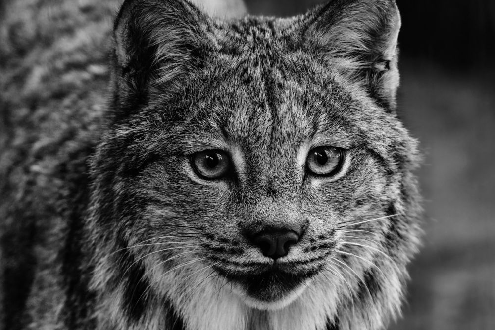 Фотография автора Viktoria Farkas