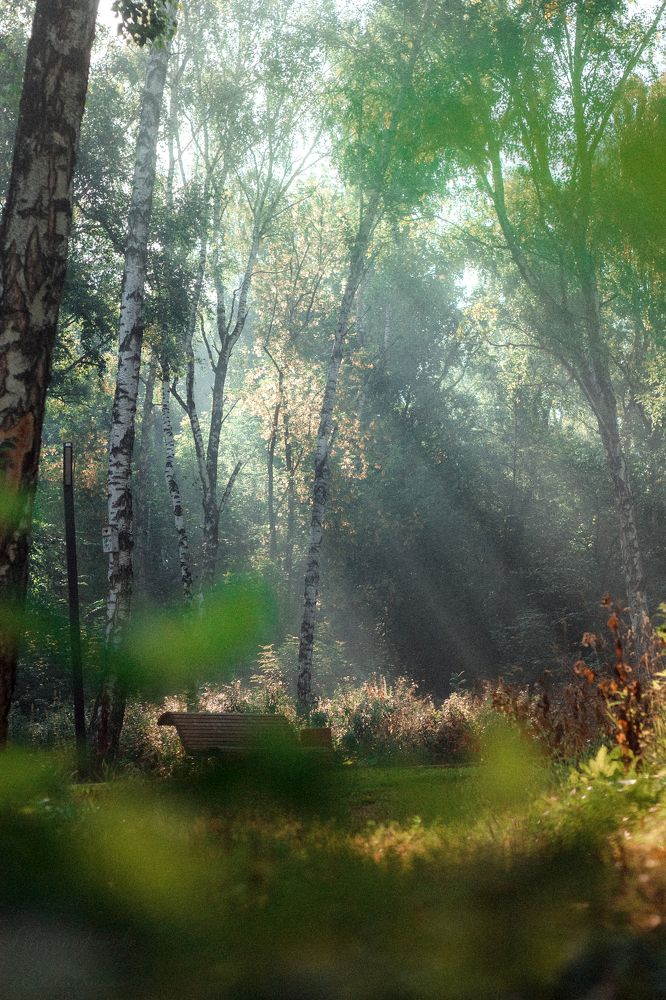 Photograph by Екатерина