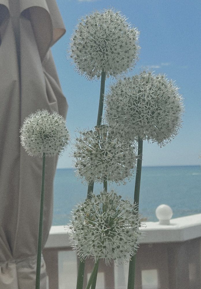 Photograph by Kholina Maria