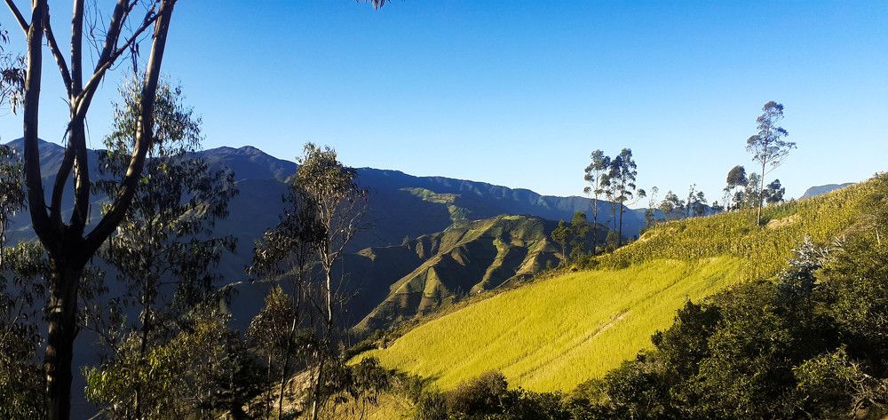 Фотография автора Segundo Antonio Carrasco Carrasco