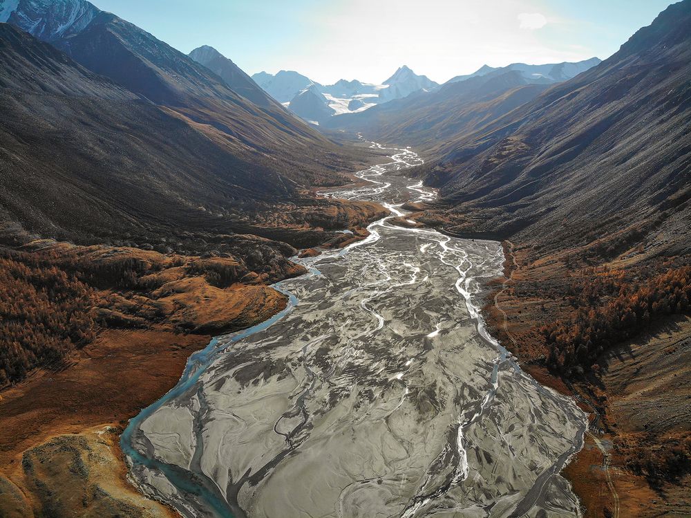 В солнечном свете