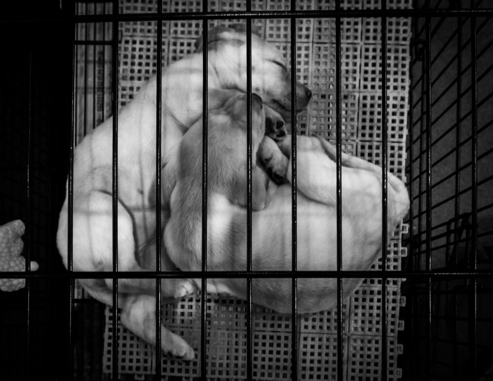 Photograph by Alsu Zabirova