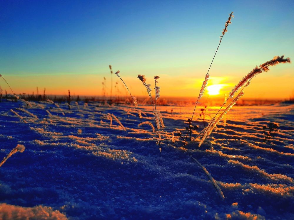 Photograph by Евгения Митюшкина