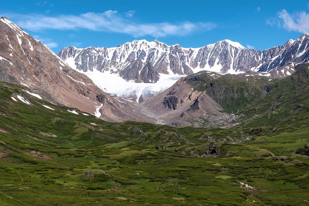 В зеленом бархате