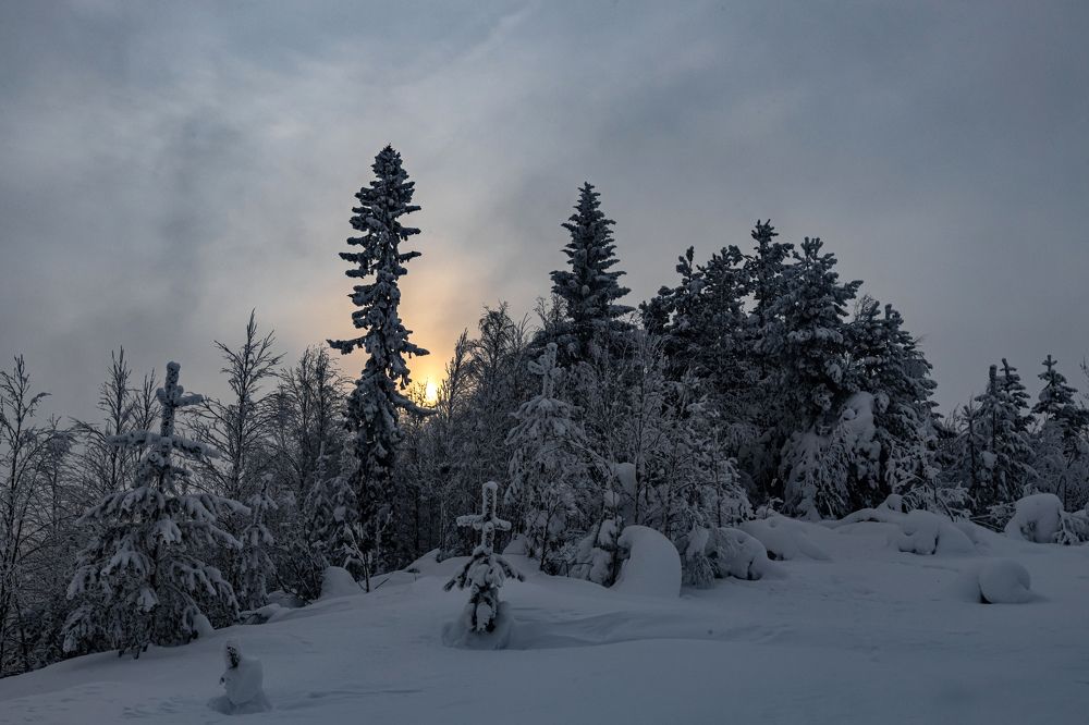 Photograph by  Толяныч-