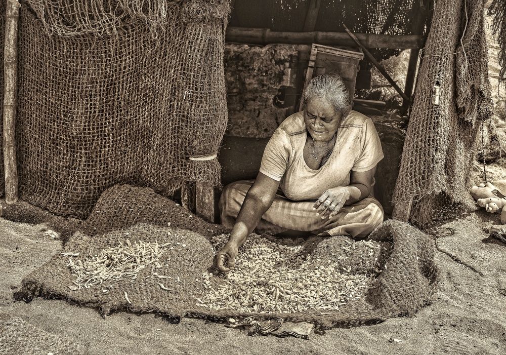 Photograph by Lakshan Senevirathne