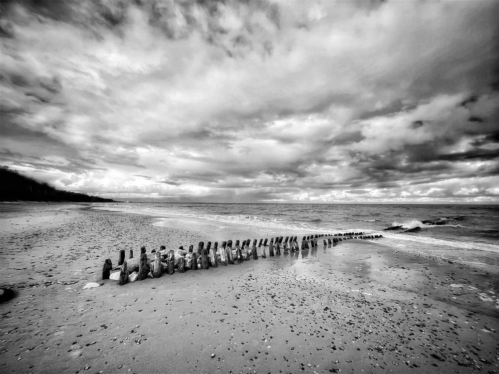 Photograph by Ксения Баштанар