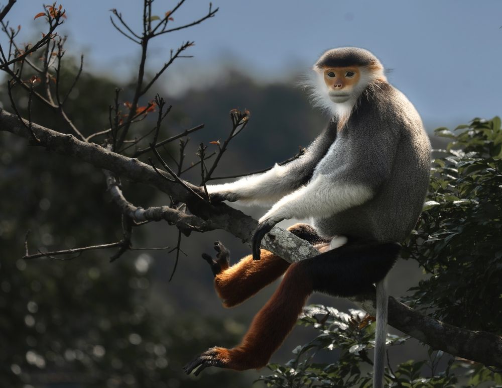 Photograph by Владимир Цветов