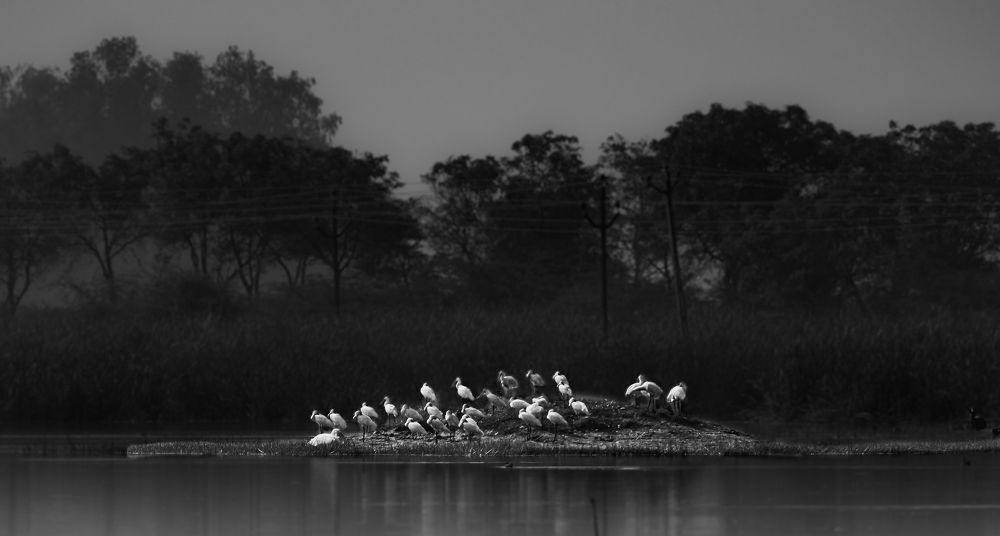 Photograph by Thakor Virendrasinh