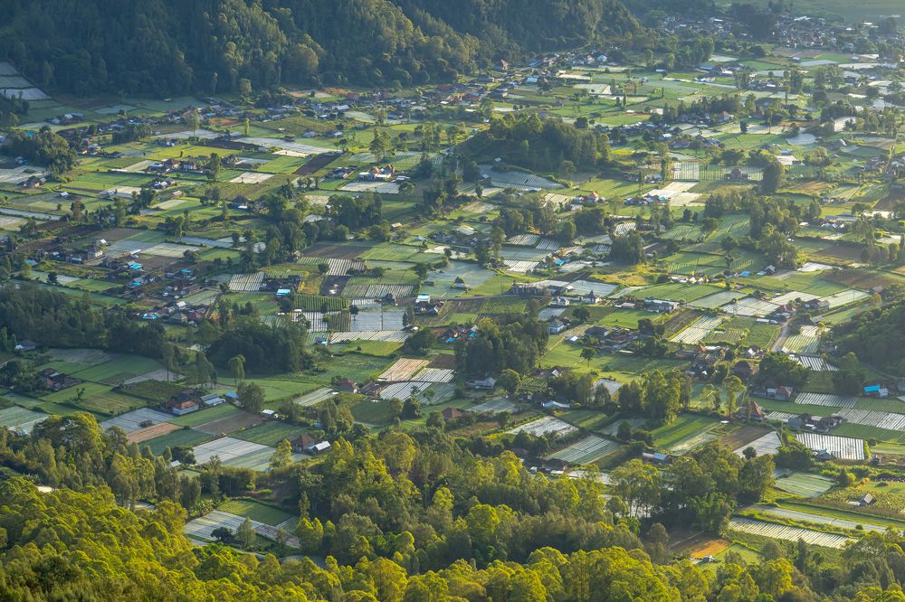 Photograph by Сергей Гук