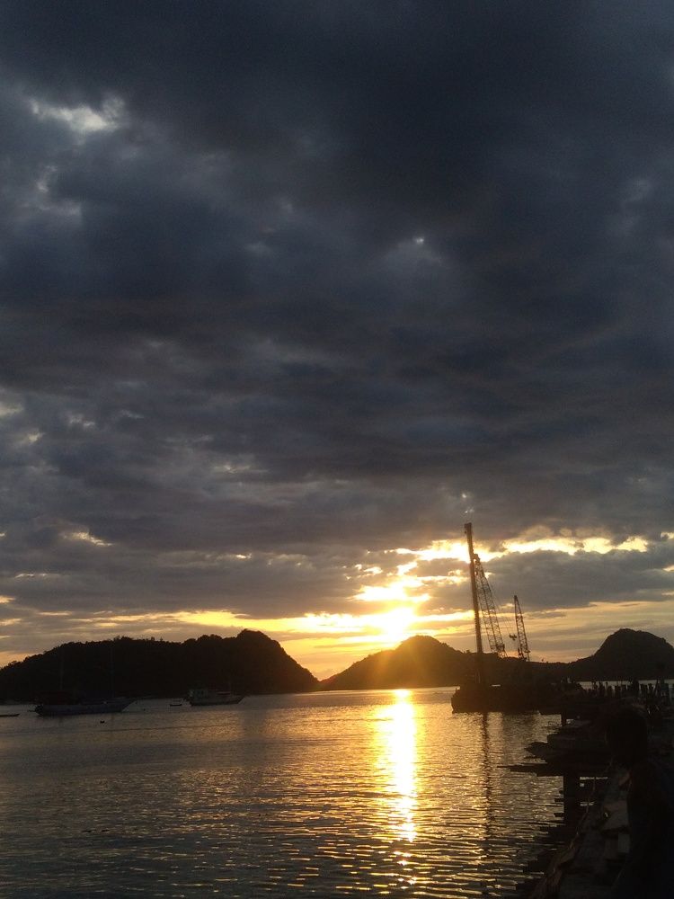 Photo #8941376