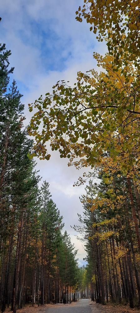 Photograph by Гульназ Арсланова