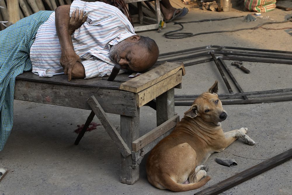Photograph by Subrata Chatterjee