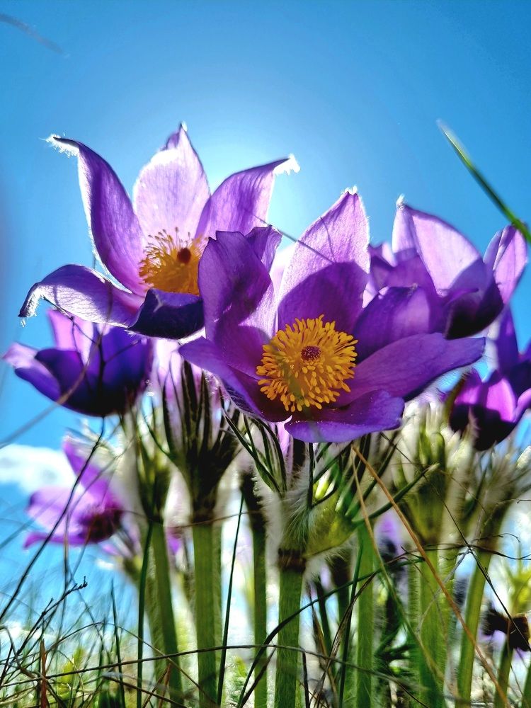 Photograph by Наталья Анисимова