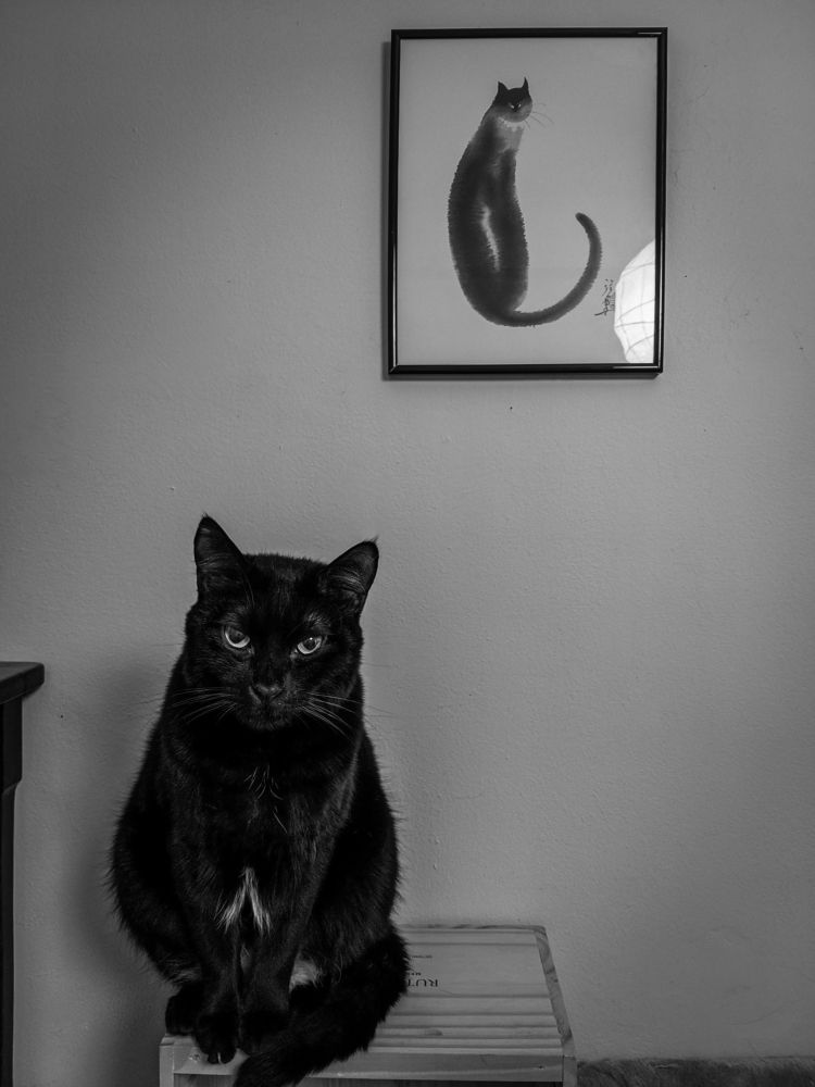 Photograph by Георгий Акопджанов