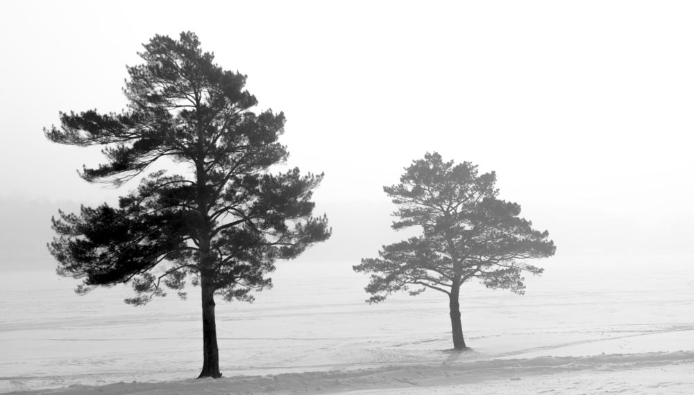 Photograph by Сергей Шерстнев