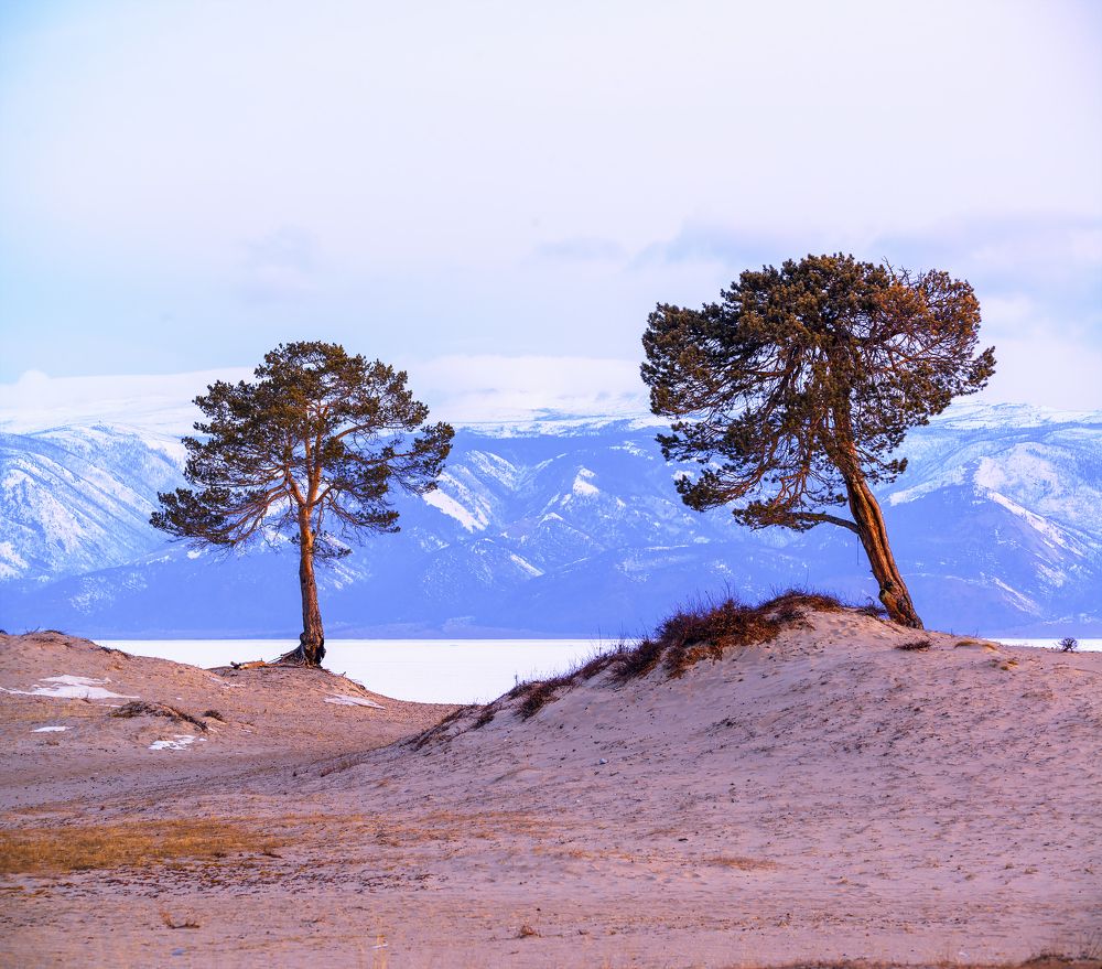 Фотография автора Igor Ferrum