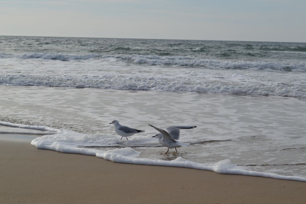 Photograph by Маргарита Матвеева