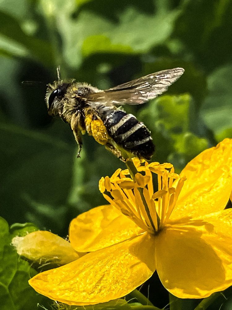 Photograph by Светлана Стаценко