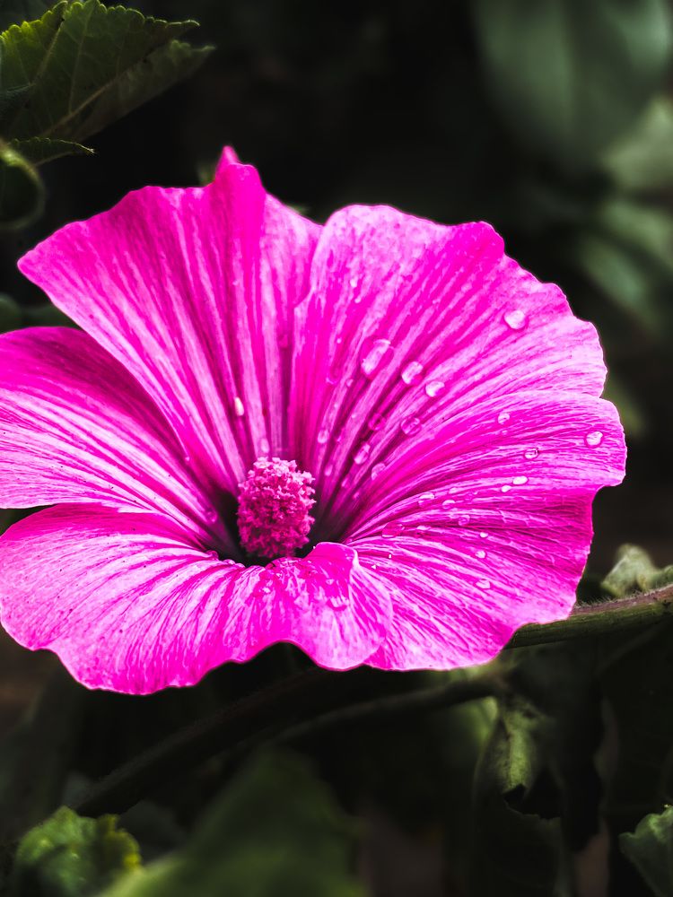 Photograph by Светлана Стаценко