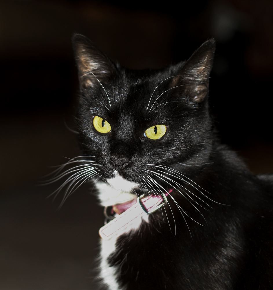 Photograph by Ricardo Sanchez Ruiz