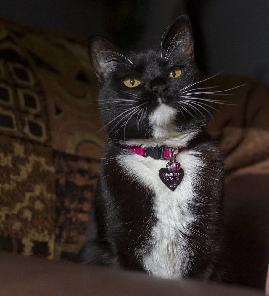 Photograph by Ricardo Sanchez Ruiz